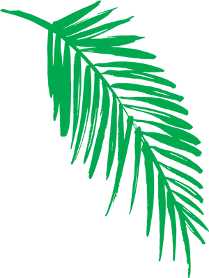 Vibrant Green Palm Leaf Graphic PNG Image