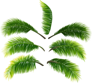 Vibrant Green Palm Leaves PNG Image