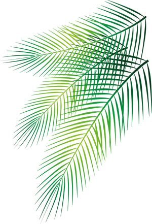 Vibrant Green Palm Leaves Graphic PNG Image