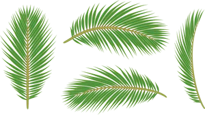 Vibrant Green Palm Leaves Isolated PNG Image