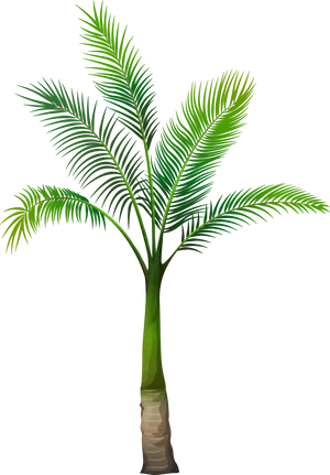 Vibrant Green Palm Tree Illustration PNG Image