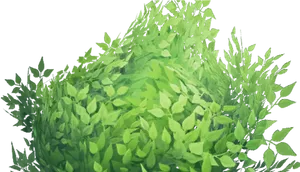 Vibrant Green Shrubbery PNG Image