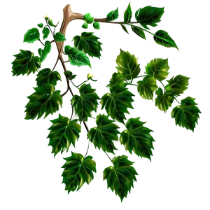 Vibrant Green Vine Leaves PNG Image