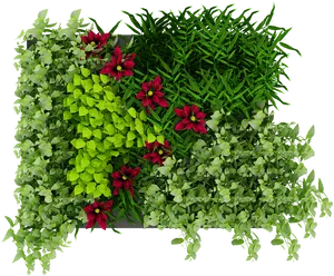 Vibrant Greeneryand Flowers Texture PNG Image