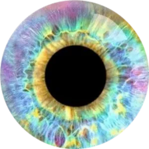 Vibrant_ Human_ Iris_ Closeup.jpg PNG Image