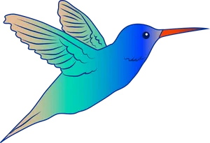 Vibrant Hummingbird Illustration PNG Image