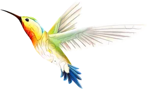 Vibrant Hummingbird In Flight PNG Image