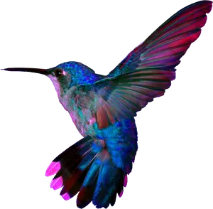 Vibrant Hummingbird In Flight.png PNG Image