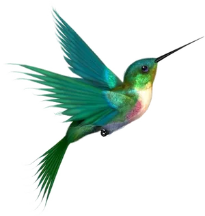 Vibrant Hummingbird In Flight PNG Image