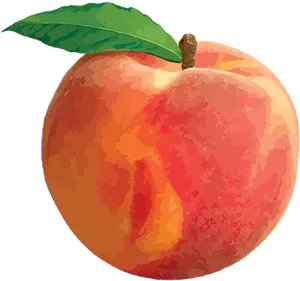 Vibrant Illustrated Peach PNG