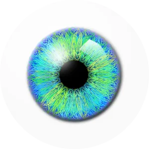 Vibrant_ Iris_ Closeup PNG Image