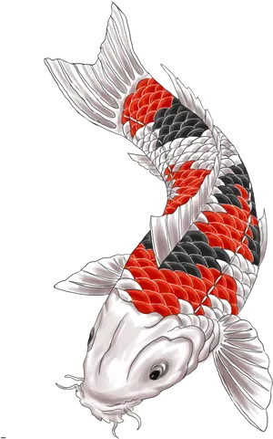 Vibrant Koi Fish Illustration PNG Image