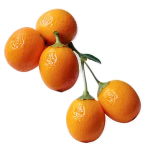 Vibrant Kumquat Png 41 PNG Image