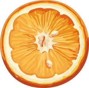 Vibrant Mandarin Slice Illustration PNG Image