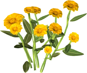 Vibrant Marigold Flowers PNG Image