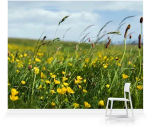 Vibrant Meadow Buttercups PNG Image