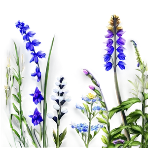 Vibrant Meadow Wildflowers Png 42 PNG Image