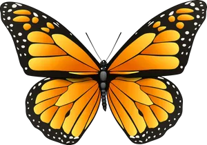 Vibrant Monarch Butterfly Illustration PNG Image