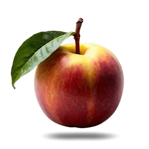 Vibrant Nectarine Png 06252024 PNG Image