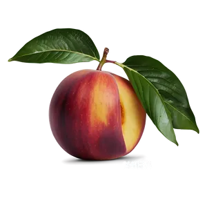 Vibrant Nectarine Png Wwk3 PNG Image