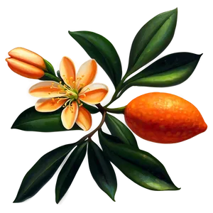 Vibrant Orange Blossom Png 06122024 PNG Image