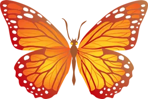 Vibrant_ Orange_ Butterfly_ Vector PNG Image