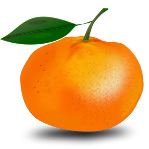 Vibrant Orange Fruit Illustration PNG Image