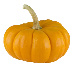 Vibrant Orange Pumpkin PNG Image