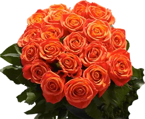 Vibrant Orange Roses Bouquet PNG Image