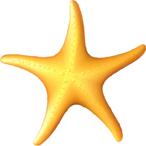 Vibrant_ Orange_ Starfish_ Clipart PNG Image