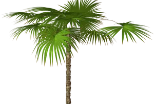 Vibrant Palm Tree Graphic PNG Image