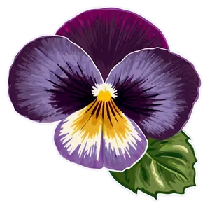 Vibrant Pansy Blossom Png Sfs PNG Image