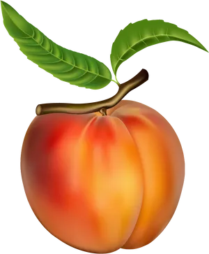 Vibrant Peach Illustration PNG
