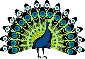 Vibrant Peacock Display Illustration PNG Image