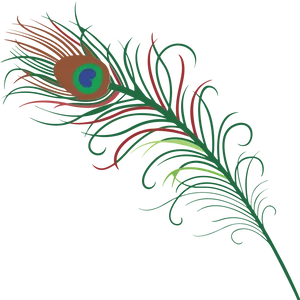 Vibrant_ Peacock_ Feather_ Artwork PNG Image