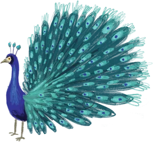 Vibrant Peacock Illustration PNG Image