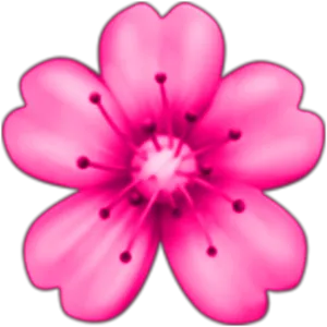 Vibrant_ Pink_ Flower_ Black_ Background PNG Image