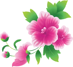 Vibrant_ Pink_ Flowers_ Illustration PNG Image