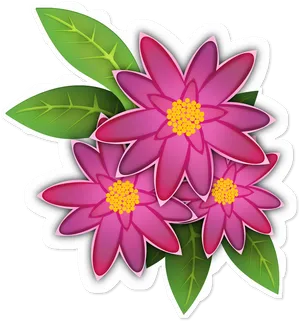 Vibrant Pink Flowers Illustration PNG Image