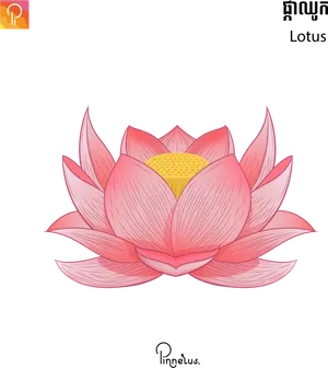 Vibrant Pink Lotus Illustration PNG Image