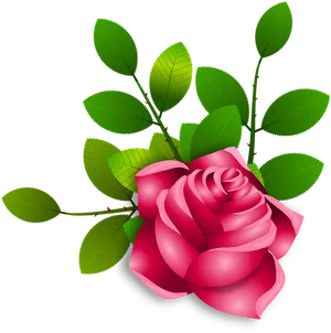 Vibrant Pink Rose Black Background PNG Image