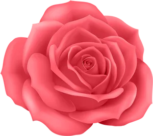 Vibrant_ Pink_ Rose_ Illustration PNG Image