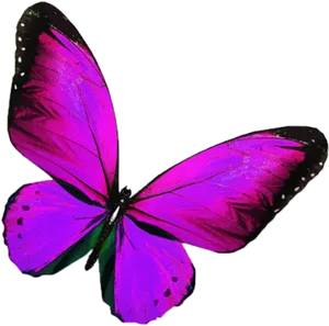 Vibrant Purple Butterfly PNG Image