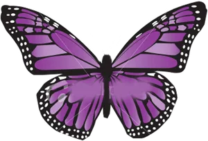 Vibrant Purple Butterfly Illustration PNG Image