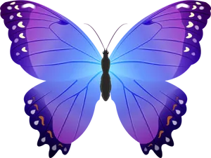 Vibrant Purple Butterfly Illustration PNG Image