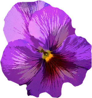 Vibrant Purple Pansy Flower PNG Image