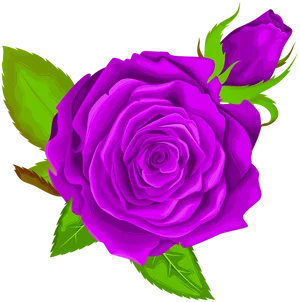 Vibrant Purple Rose Illustration PNG Image