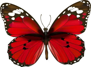 Vibrant_ Red_ Butterfly_ Illustration PNG Image