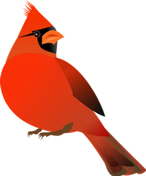 Vibrant Red Cardinal Illustration PNG Image