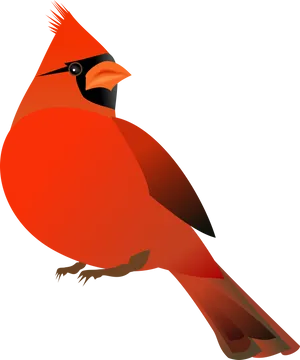 Vibrant Red Cardinal Illustration PNG Image